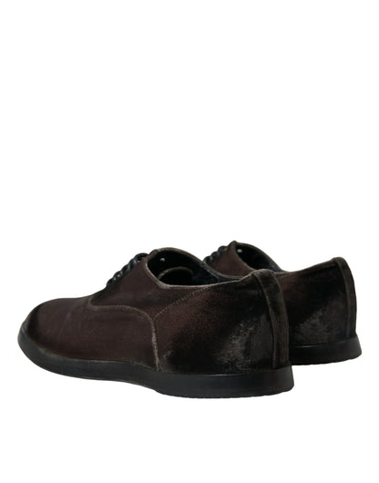 Dolce & Gabbana Elegant Brown Velvet Oxford Lace-up Shoes